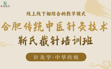 合肥传统中医针灸技术靳氏截针培训班