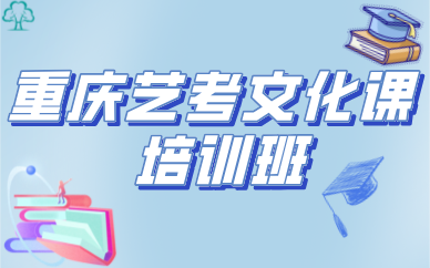 重慶藝考文化課培訓班