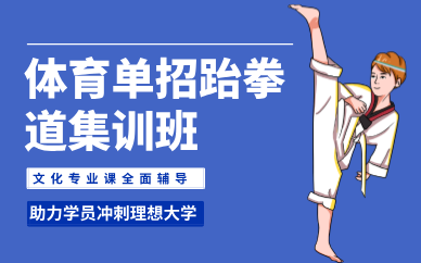 武漢體育單招跆拳道集訓(xùn)班