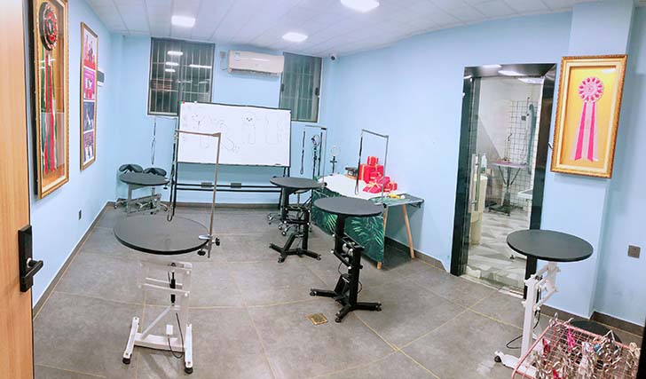 深圳宇宙联萌宠物美容培训中心环境怎样？生活配套完善吗？