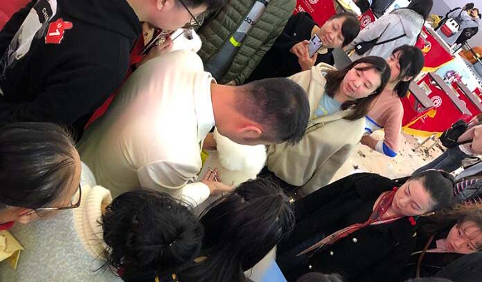 深圳宇宙联萌宠物美容培训中心教学如何？适合零基础吗？