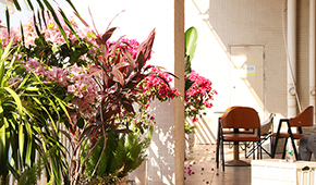 广州金苹果教育提供宿舍么？住宿环境怎样？