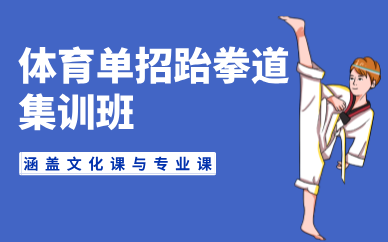 北京体育单招跆拳道集训班
