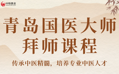 青岛国医大师拜师课程