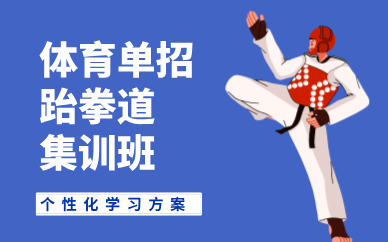 天津體育單招跆拳道集訓(xùn)班