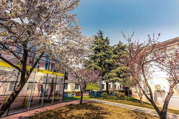 校園綠化 校園綠化