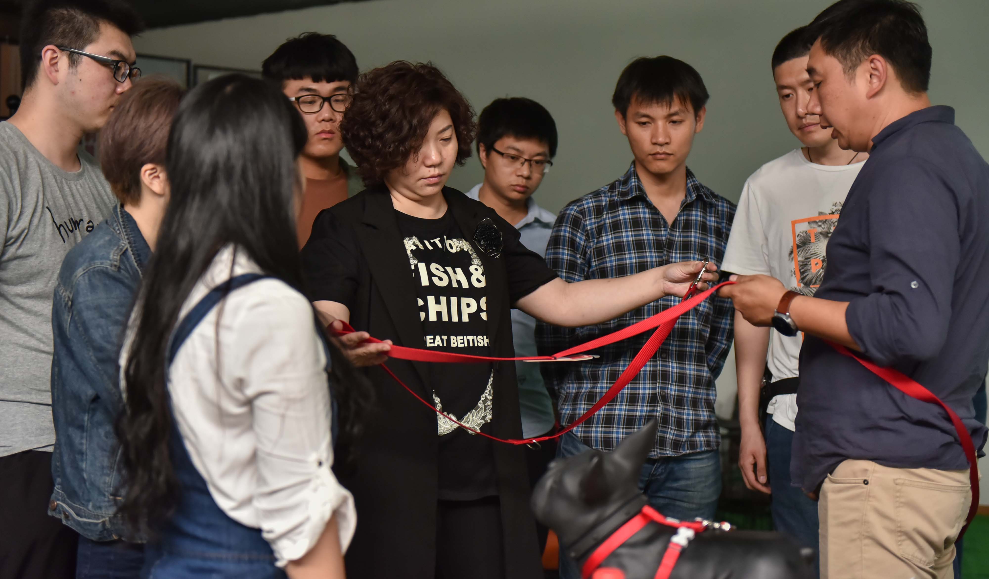 北京調良寵物學校教學怎樣？教學水平如何？