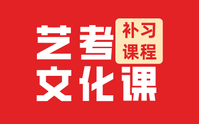 西安藝考文化課補習課程