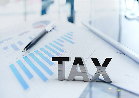 纳税TAX 纳税TAX