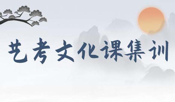 藝路逐夢 文化領航——藝考文化課集訓開啟