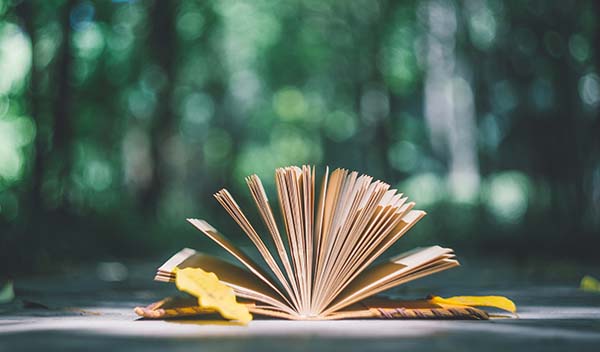 高三怎么準(zhǔn)備才能考上重點(diǎn)大學(xué)？