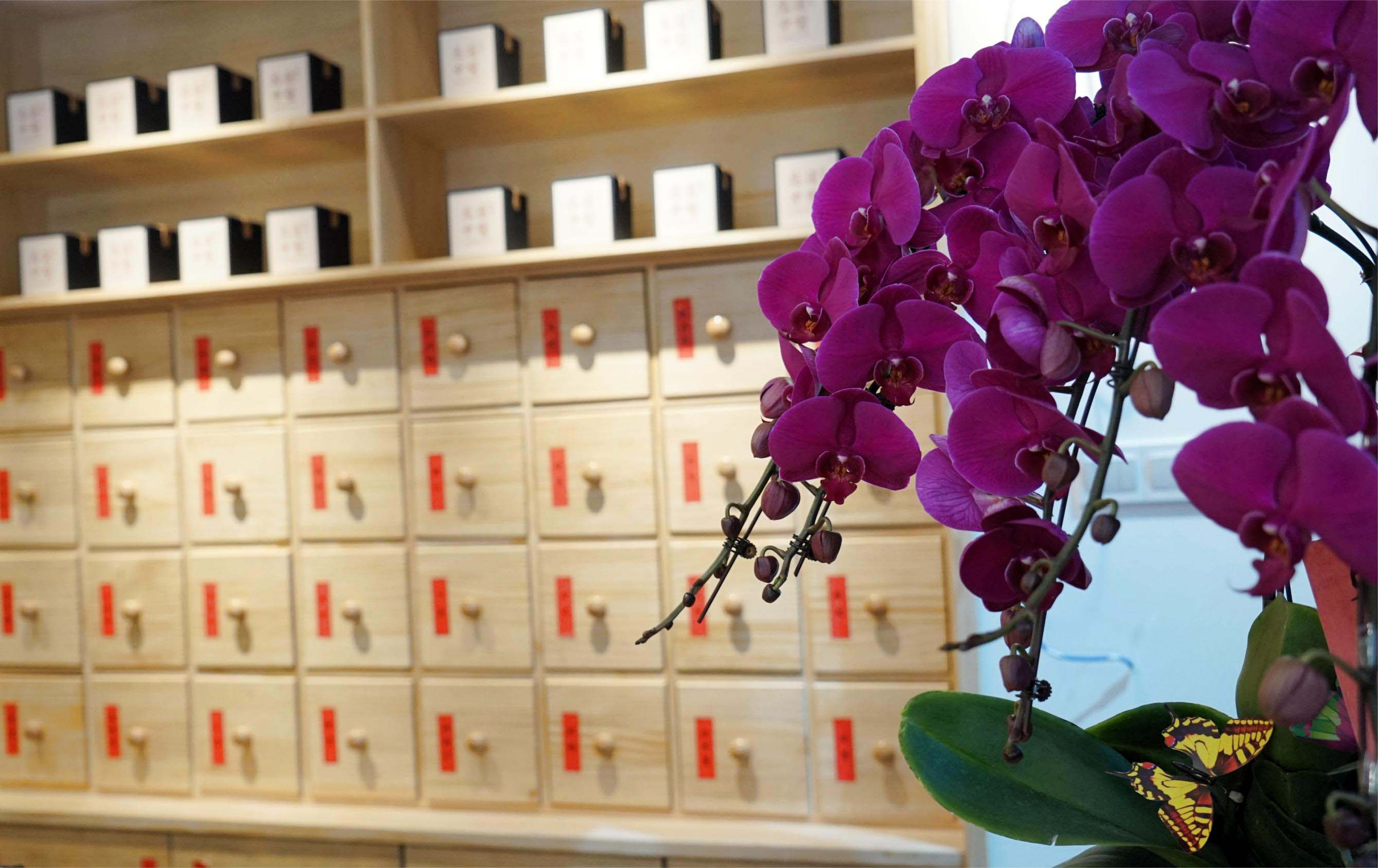 上海哪里有正规中医培训学校？怎么选择？