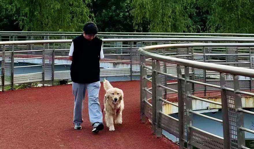 零基礎學習寵物訓練師可行嗎？