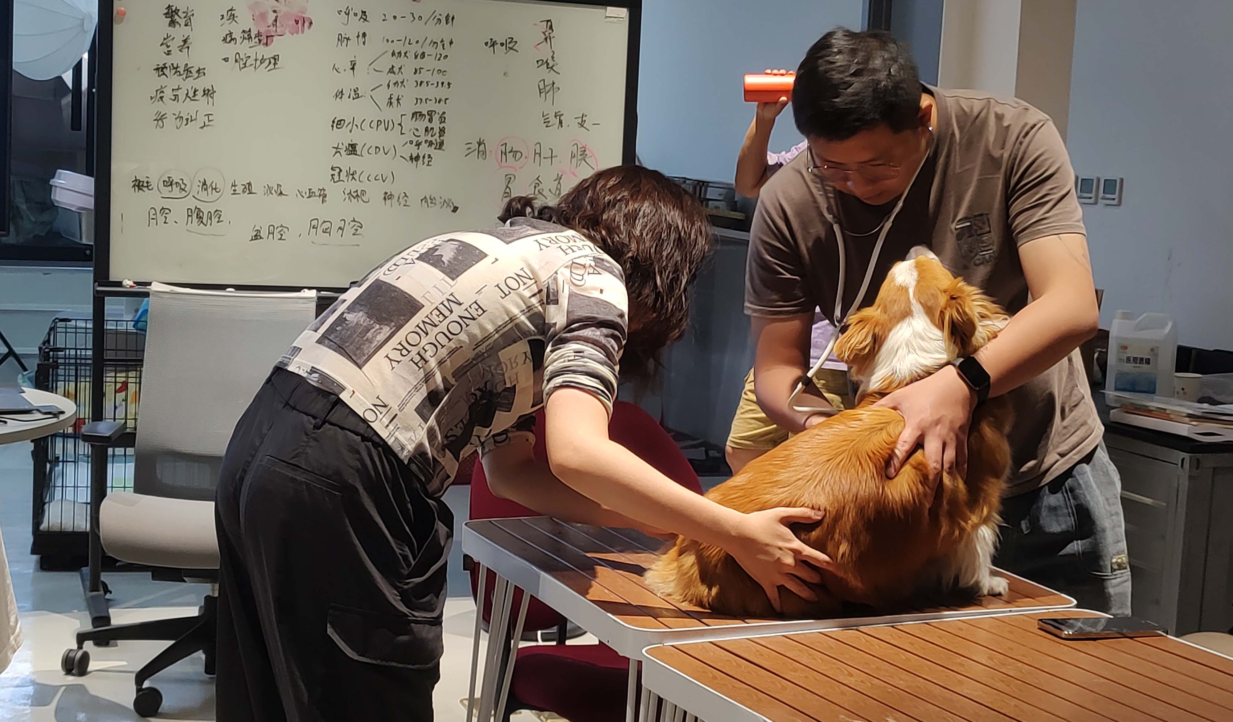 寵物訓練師適合什么樣的人群？