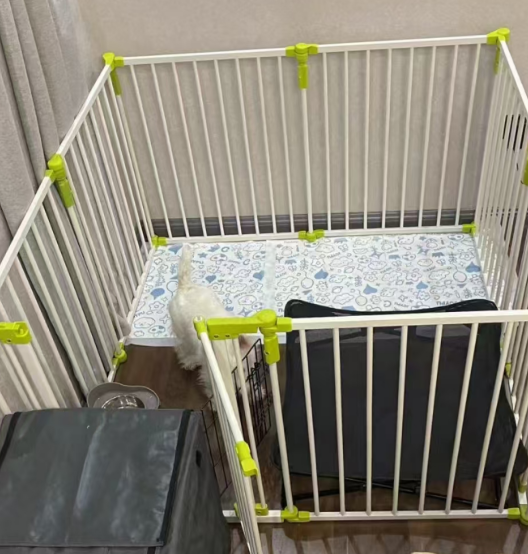 排泄训练 排泄训练