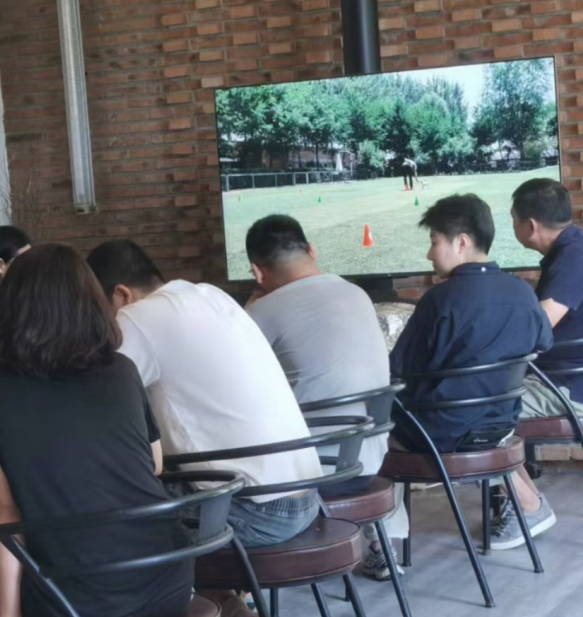 提高技能 提高技能