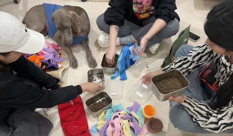 揭秘“伴侶動物行為訓(xùn)練師”！