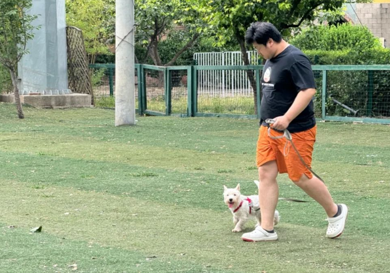 正向训练 正向训练