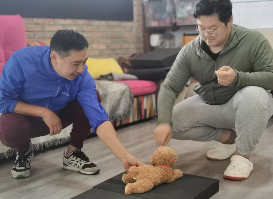 正向训练 正向训练