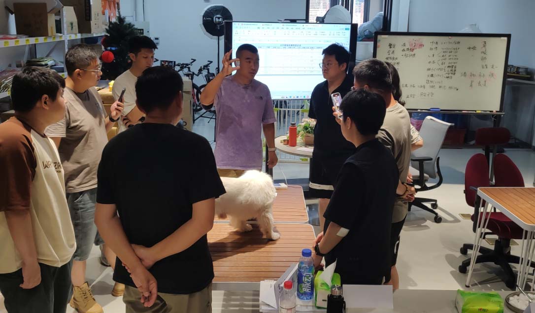 都是壓力惹的禍：狗狗四大壓力來源，你中了幾個？