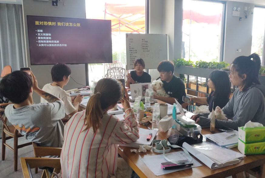 理论教学 理论教学