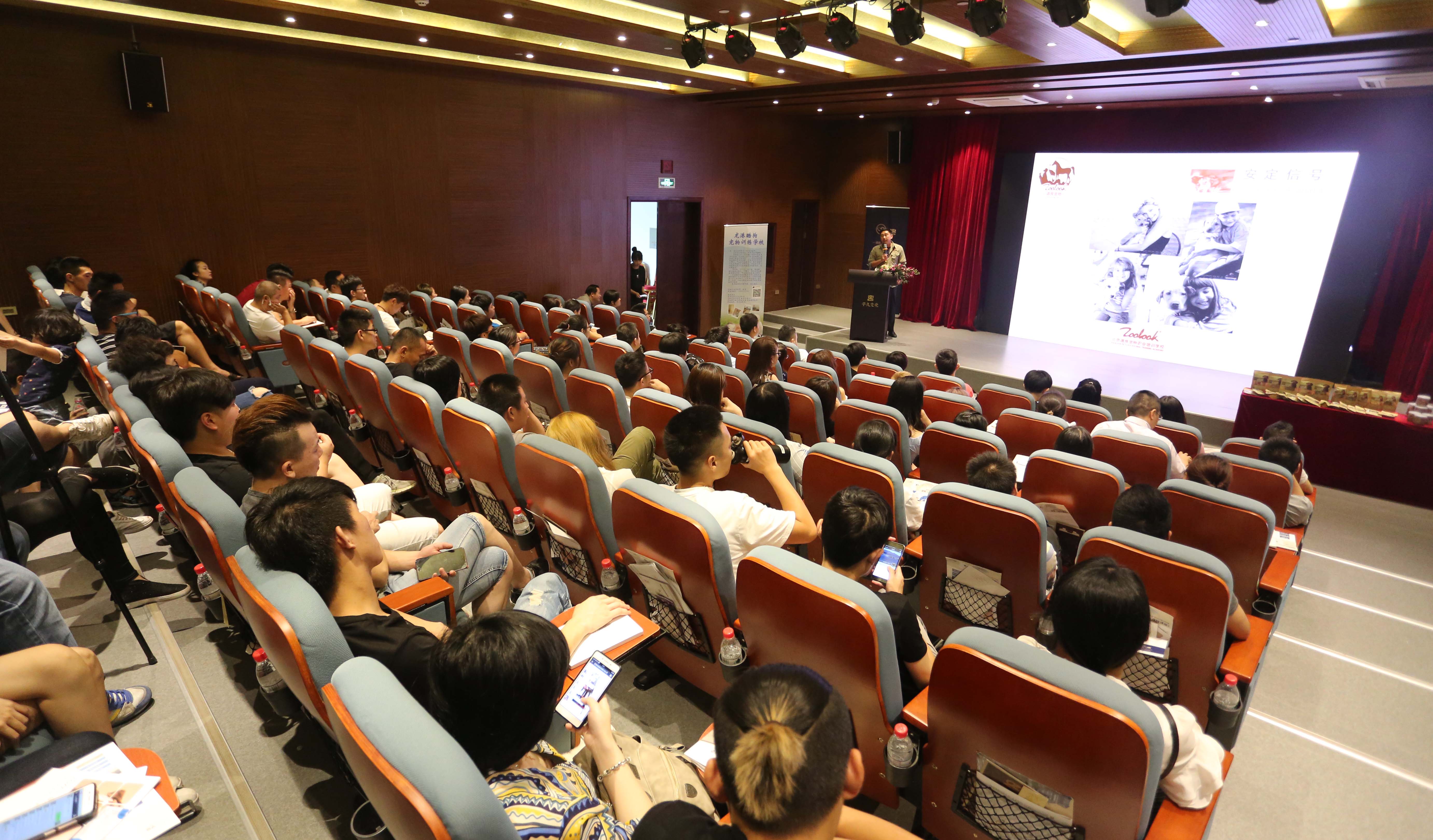 調(diào)良萌拾何軍：訓(xùn)犬不是暴力打罰，行業(yè)需要正向理念