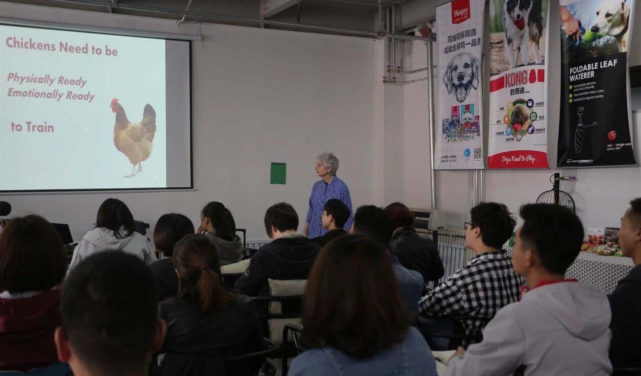 訓(xùn)雞營中文班|所有最基礎(chǔ)的，才是最重要的