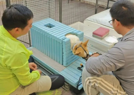 正向训练 正向训练