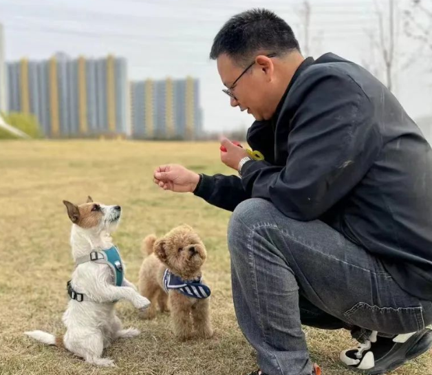 行为训练 行为训练