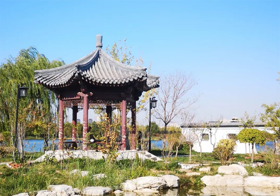 户外风景 户外风景