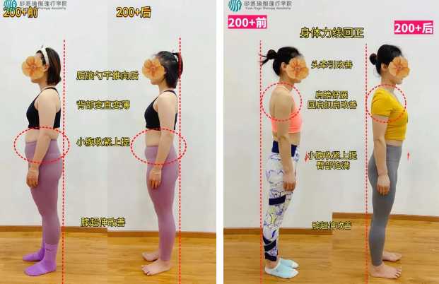 对比详情 对比详情