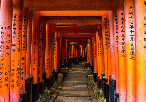 千本鸟居 千本鸟居
