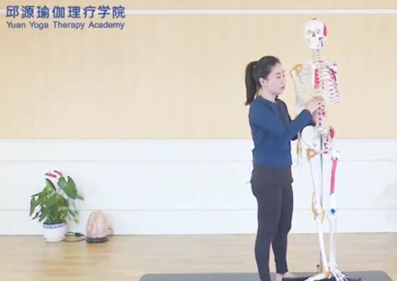 教学演示 教学演示