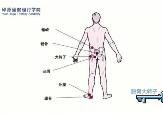 教学内容 教学内容