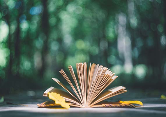 文化课提高 文化课提高