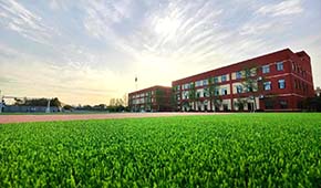 在合肥大舜学校，为什么成绩提高这么快？