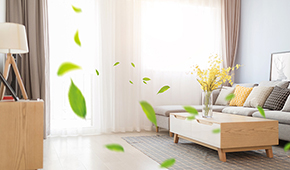 室内空气治理行业市场大不大？就业前景如何？