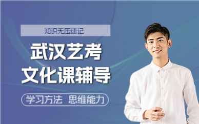 武漢藝考文化課輔導(dǎo)課程