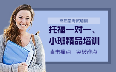 上海托福一對(duì)一/小班精品培訓(xùn)班