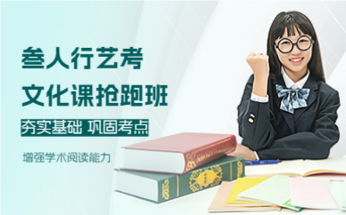 廣州叁人行藝考文化課搶跑班