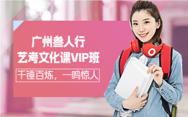 廣州叁人行藝考文化課VIP班