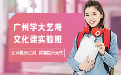 廣州學(xué)大藝考文化課實驗班