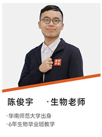 生物老师：陈俊宇