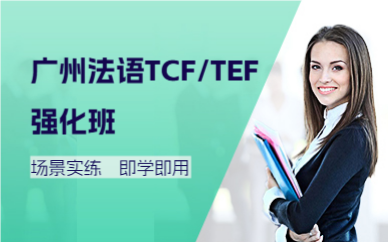 广州法语TCF/TEF强化班