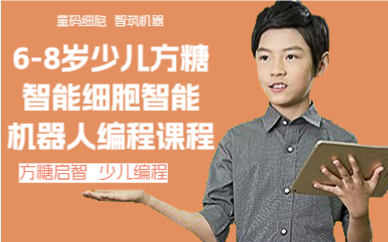 廣州6-8歲少兒方糖智能細胞智能機器人編程課程