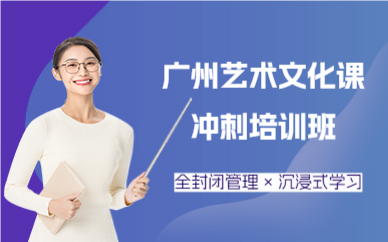 广州艺术文化课冲刺培训班