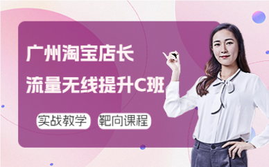 廣州淘寶店長流量無線提升C班