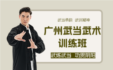 广州武当武术训练班