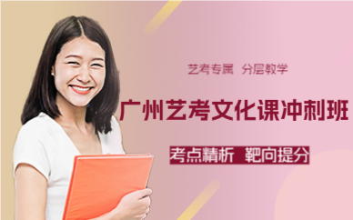 广州艺考文化课冲刺班