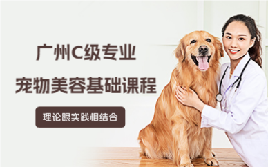 广州C级专业宠物美容基础课程